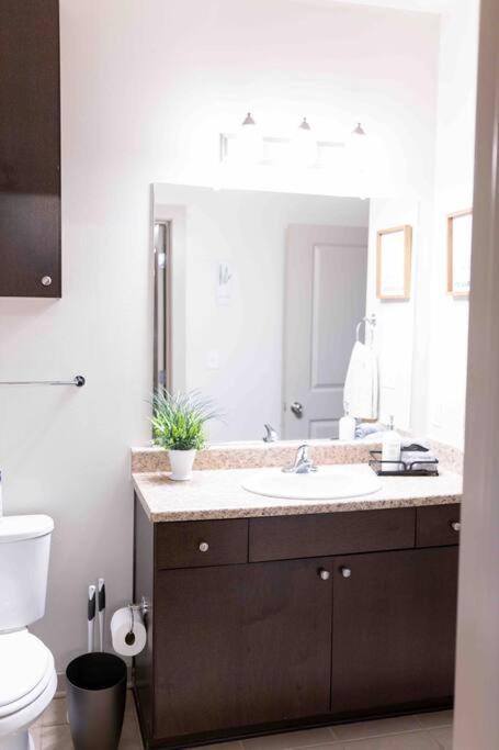 Amplify Spaces 1 And 2 Bedroom Apartments, Downtown Birmingham, Uab Bagian luar foto